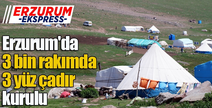 Erzurum'da 3 bin rakımda 3 yüz çadır kurulu