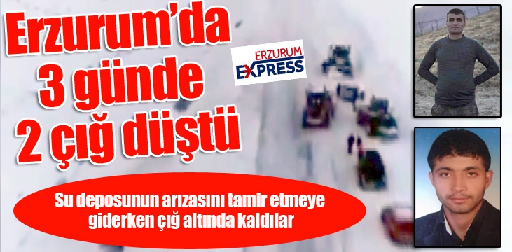 Erzurum’da 3 günde 2 çığ düştü