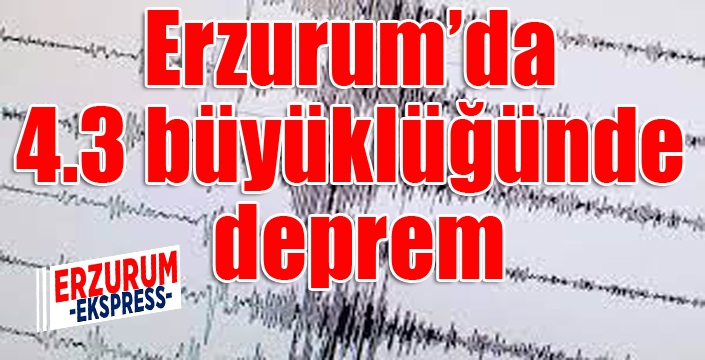 Erzurum’da 4.3 büyüklüğünde deprem: Bazı evlerde çatlaklar oluştu