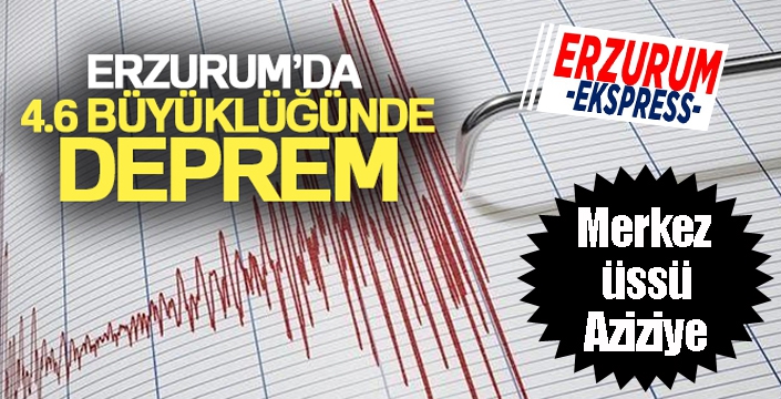 Erzurum'da 4.6 büyüklüğünde deprem