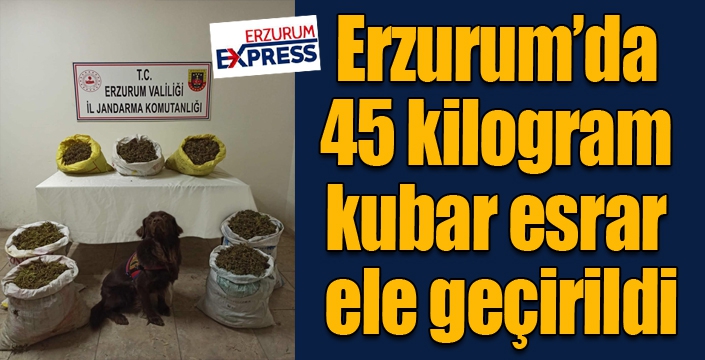 Erzurum’da 45 kilogram kubar esrar ele geçirildi