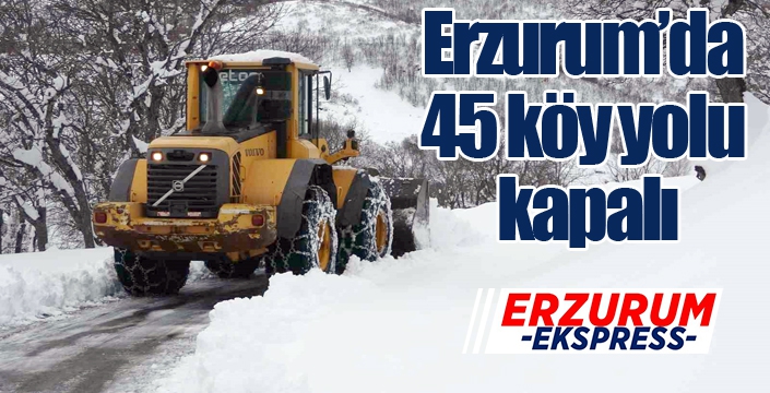 Erzurum’da 45 köy yolu kapalı