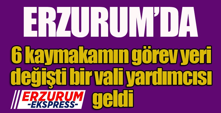 Erzurum’da 6 kaymakamın görev yeri değişti, bir vali yardımcısı geldi