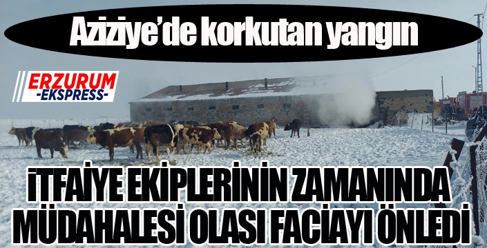 Erzurum’da ahır yangını