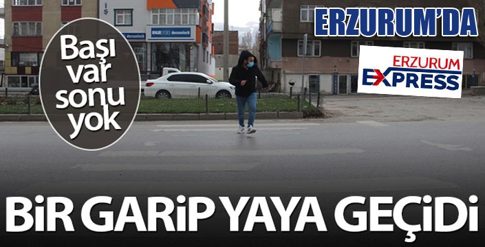 Erzurum'da bir garip yaya geçidi, başı var sonu yok
