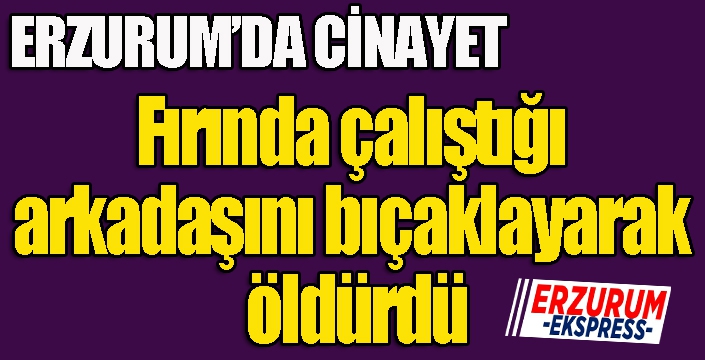 Erzurum'da cinayet... Mesai Arkadaşını bıçaklayarak öldürdü...