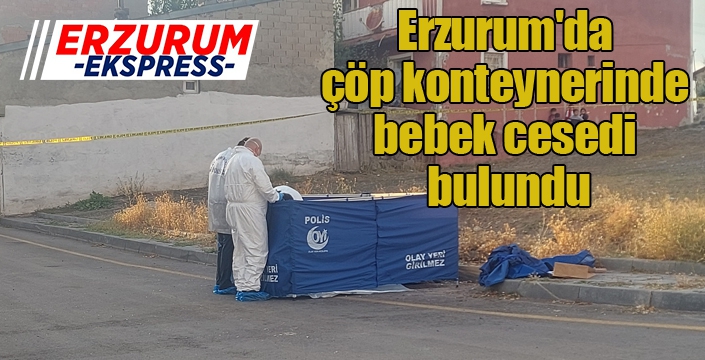 Erzurum'da çöp konteynerinde bebek cesedi bulundu