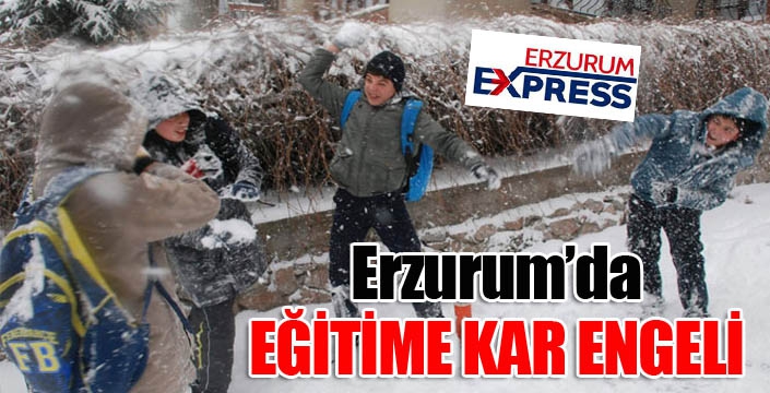 Erzurum'da eğitime kar engeli...