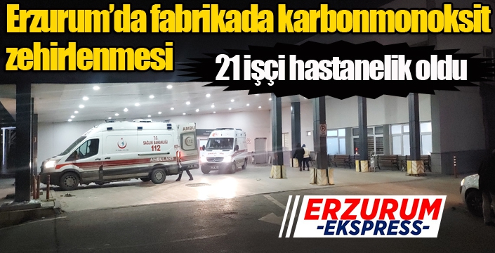 Erzurum'da fabrikada karbonmonoksit zehirlenmesi şüphesiyle 21 işçi hastanelik oldu