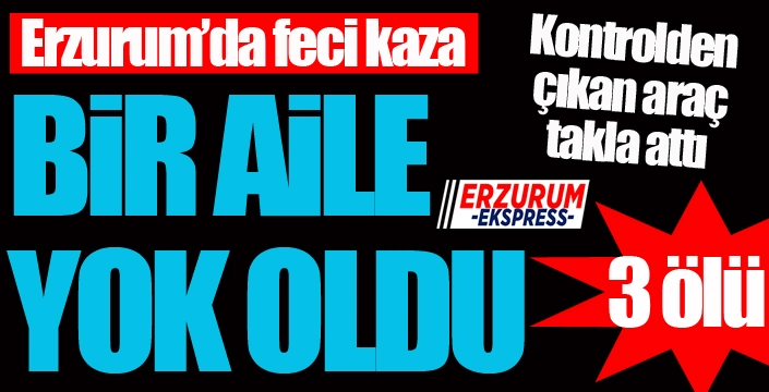 Erzurum'da feci kaza... Bir aile yok oldu!