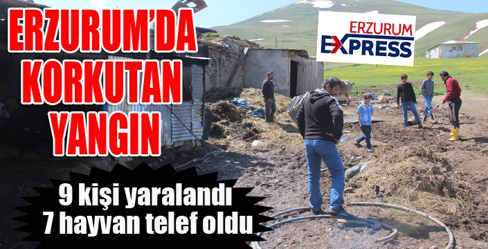 Erzurum'da feci yangın: 9 kişi yaralandı, 7 hayvan telef oldu