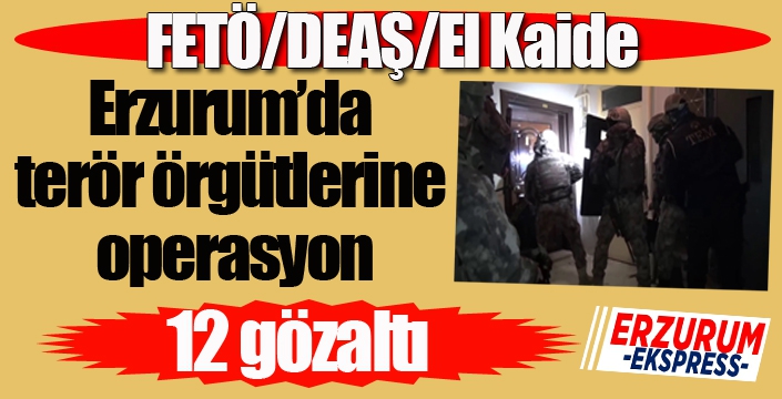 Erzurum’da FETÖ/DEAŞ/El Kaide terör örgütlerine yönelik operasyon: 12 gözaltı