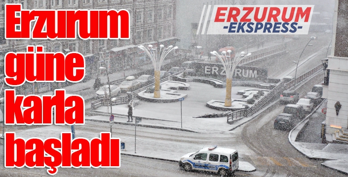 Erzurum'da fırtına çatıları uçurdu