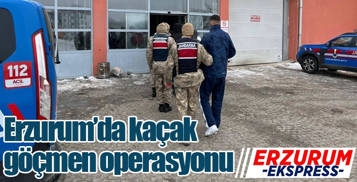 Erzurum’da kaçak göçmen operasyonu