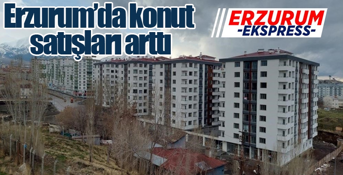 Erzurum’da konut satışları arttı