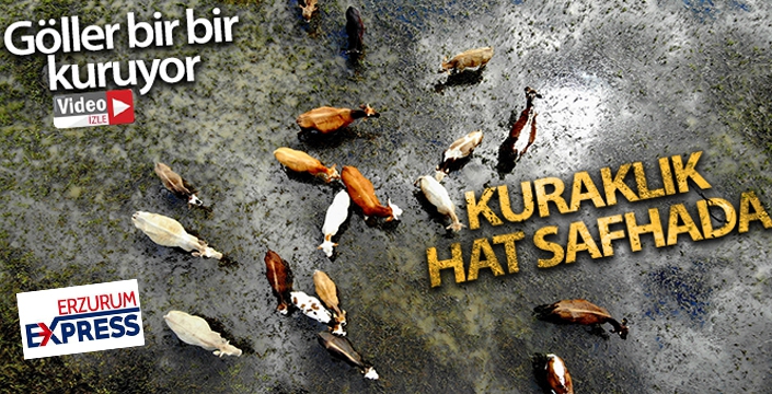 Erzurum'da kuraklık hat safhada, göller bir bir kuruyor