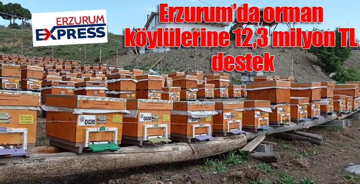Erzurum’da orman köylülerine 12,3 milyon TL destek