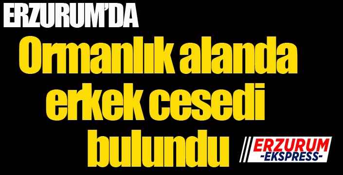 Erzurum'da ormanlık alanda erkek cesedi bulundu...
