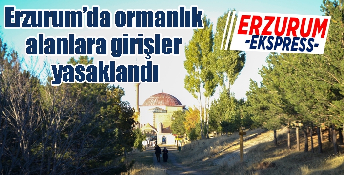 Erzurum’da ormanlık alanlara girişler yasaklandı