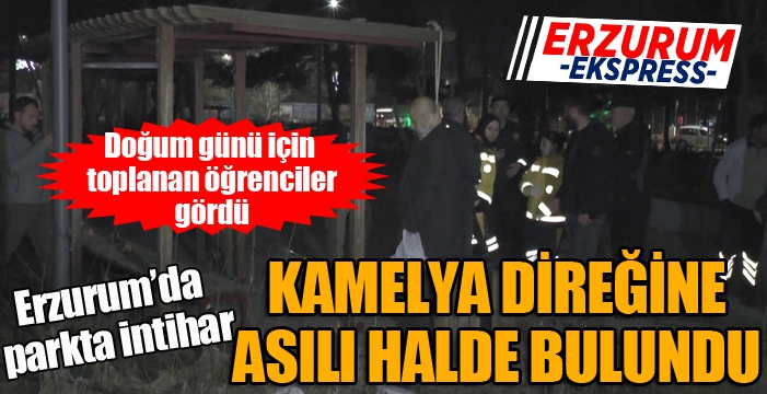 Erzurum'da parkta intihar...