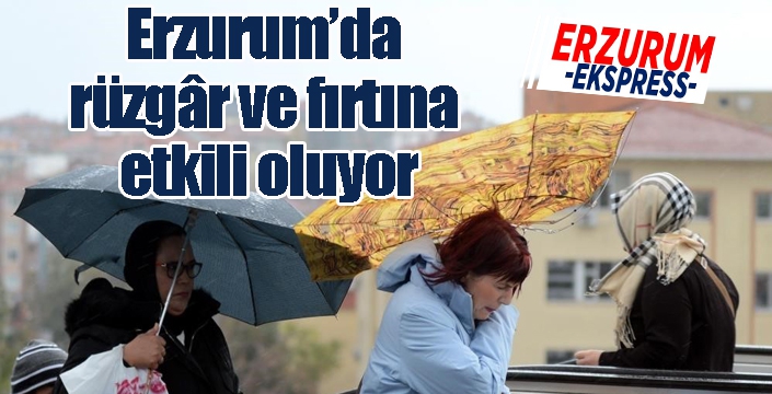 Erzurum’da rüzgâr ve fırtına etkili oluyor