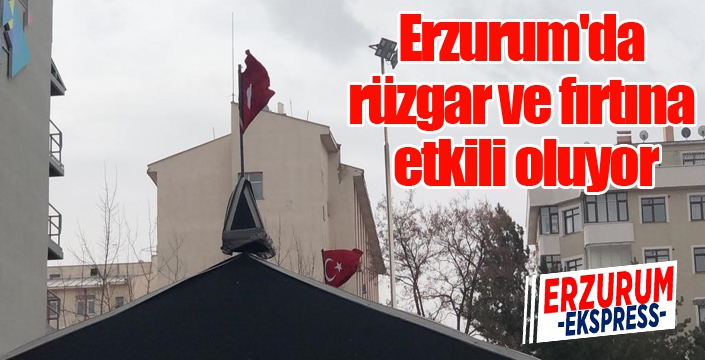 Erzurum'da rüzgar ve fırtına etkili oluyor