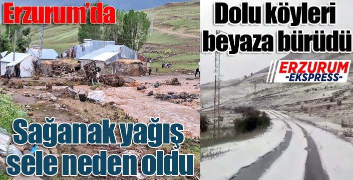 Erzurum’da sağanak yağış sele neden oldu