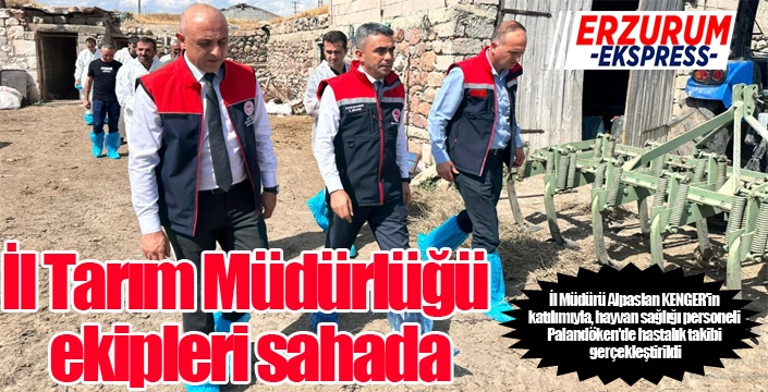 Erzurum'da ŞAP hastalığı ile mücadele sürüyor...