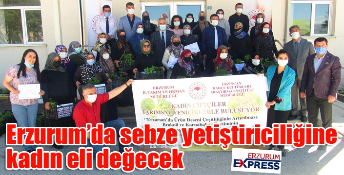 Erzurum’da sebze yetiştiriciliğine kadın eli değecek