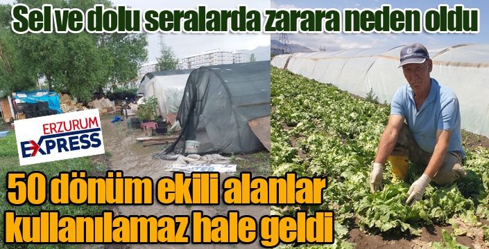 Erzurum'da sel ve dolu seralarda zarara neden oldu