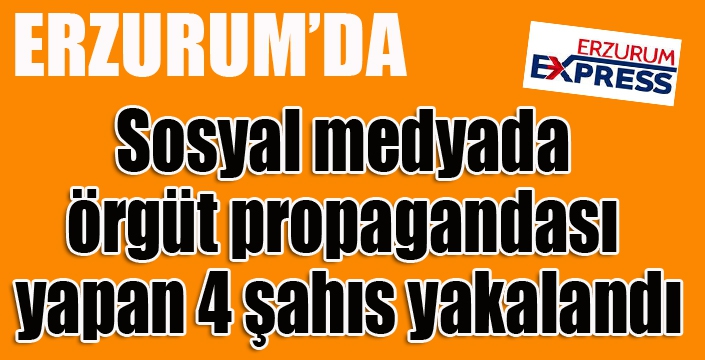 Erzurum’da sosyal medyada örgüt propagandası yapan 4 şahıs yakalandı