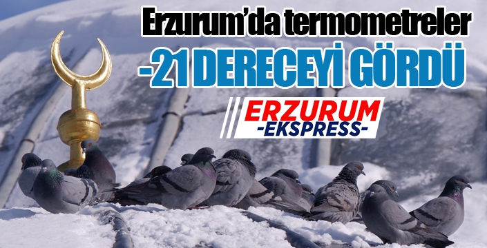 Erzurum’da termometreler -21 dereceyi gördü...