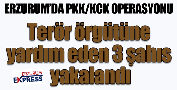 Erzurum'da terör örgütüne yardım eden 3 şahıs yakalandı