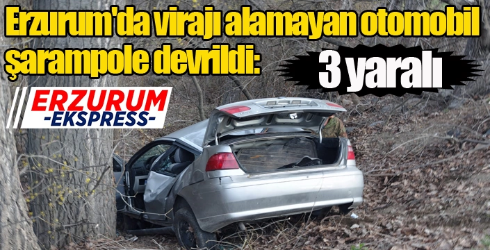 Erzurum'da virajı alamayan otomobil şarampole devrildi: 3 yaralı