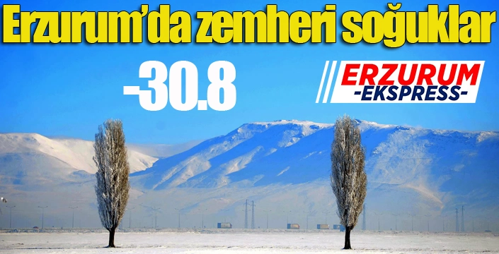 Erzurum’da zemheri soğuklar