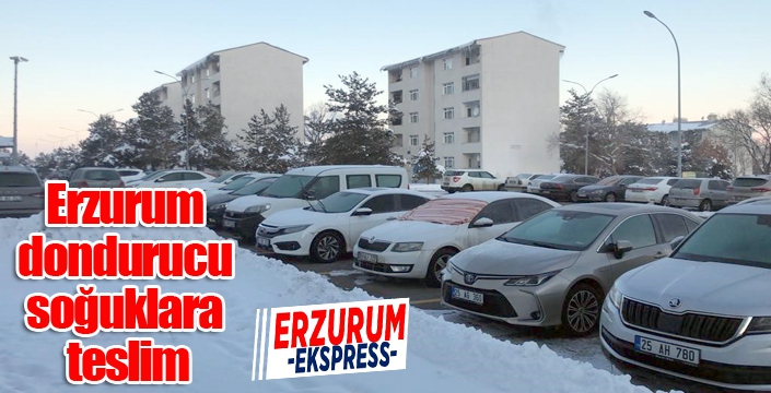 Erzurum dondurucu soğuklara teslim