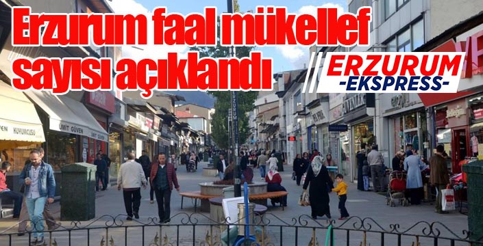 Erzurum faal mükellef sayısı açıklandı