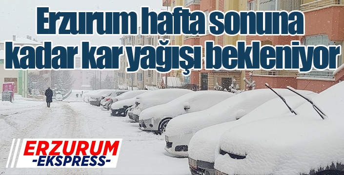 Erzurum hafta sonuna kadar kar yağışı bekleniyor