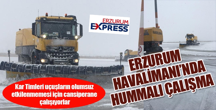 Erzurum Havalimanı kar timi görev başında