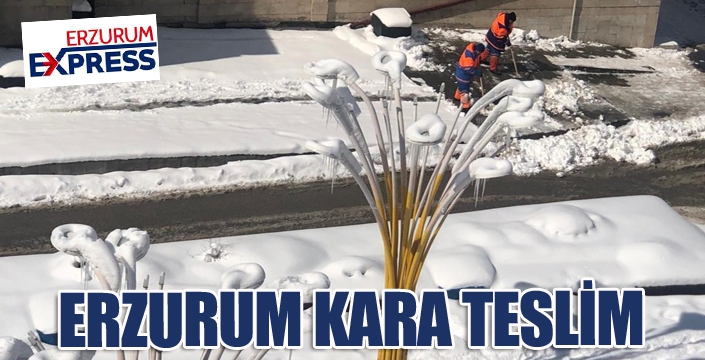  Erzurum kara teslim