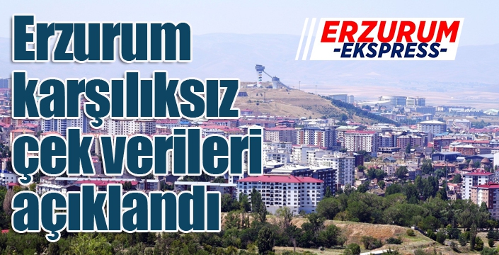 Erzurum karşılıksız çek verileri açıklandı