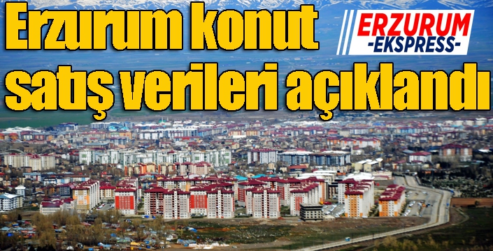 Erzurum konut satış verileri açıklandı