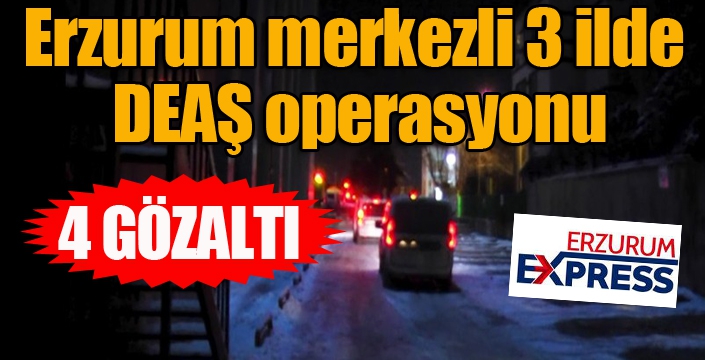 Erzurum merkezli 3 ilde DEAŞ operasyonu: 4 gözaltı