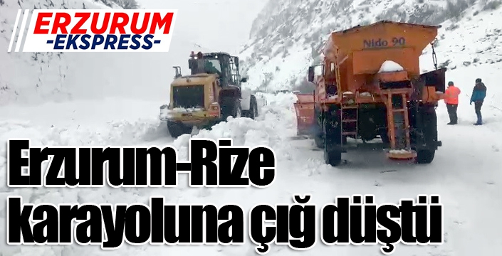 Erzurum-Rize karayoluna çığ düştü