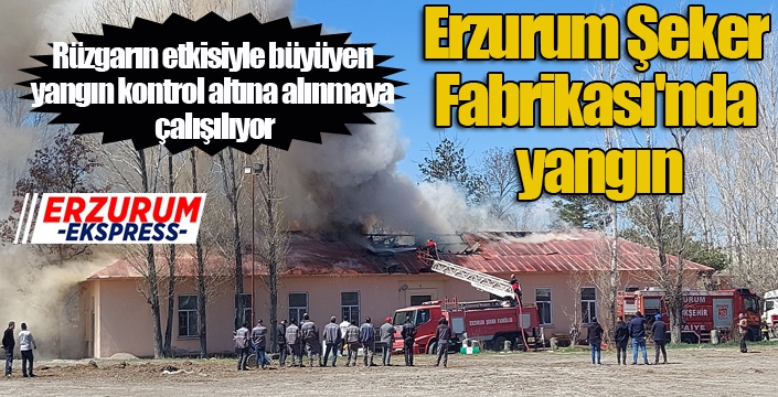 Erzurum Şeker Fabrikası'nda yangın