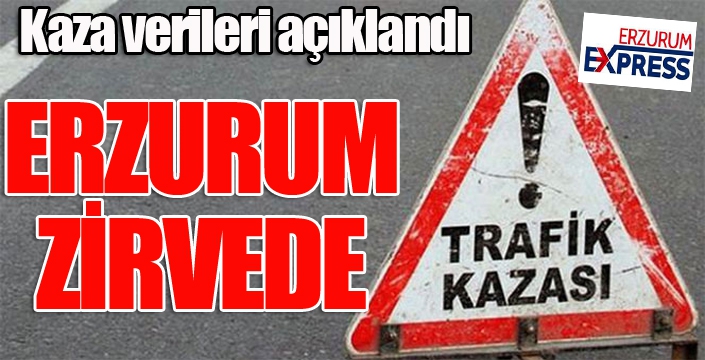 Erzurum trafik verileri açıklandı