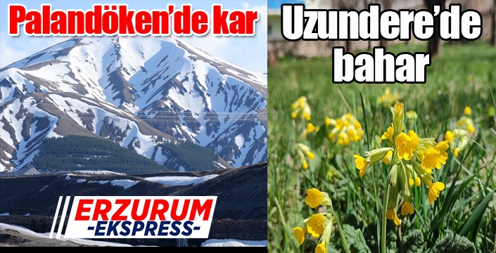 Erzurum’un bir yanı kar bir yanı bahar