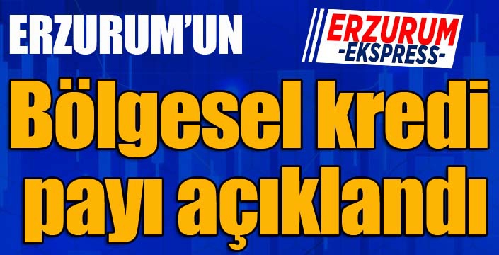 Erzurum’un bölgesel kredi payı açıklandı