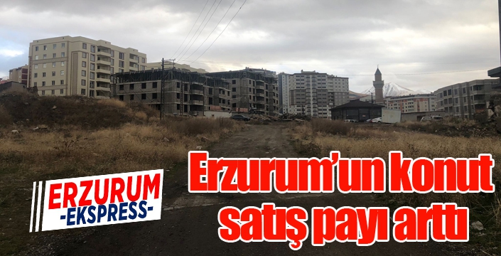 Erzurum’un konut satış payı arttı