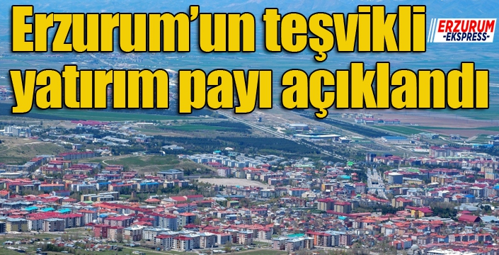 Erzurum’un teşvikli yatırım payı açıklandı